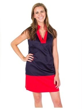 Sail to Sable Colorblocked Collared Shift Dress